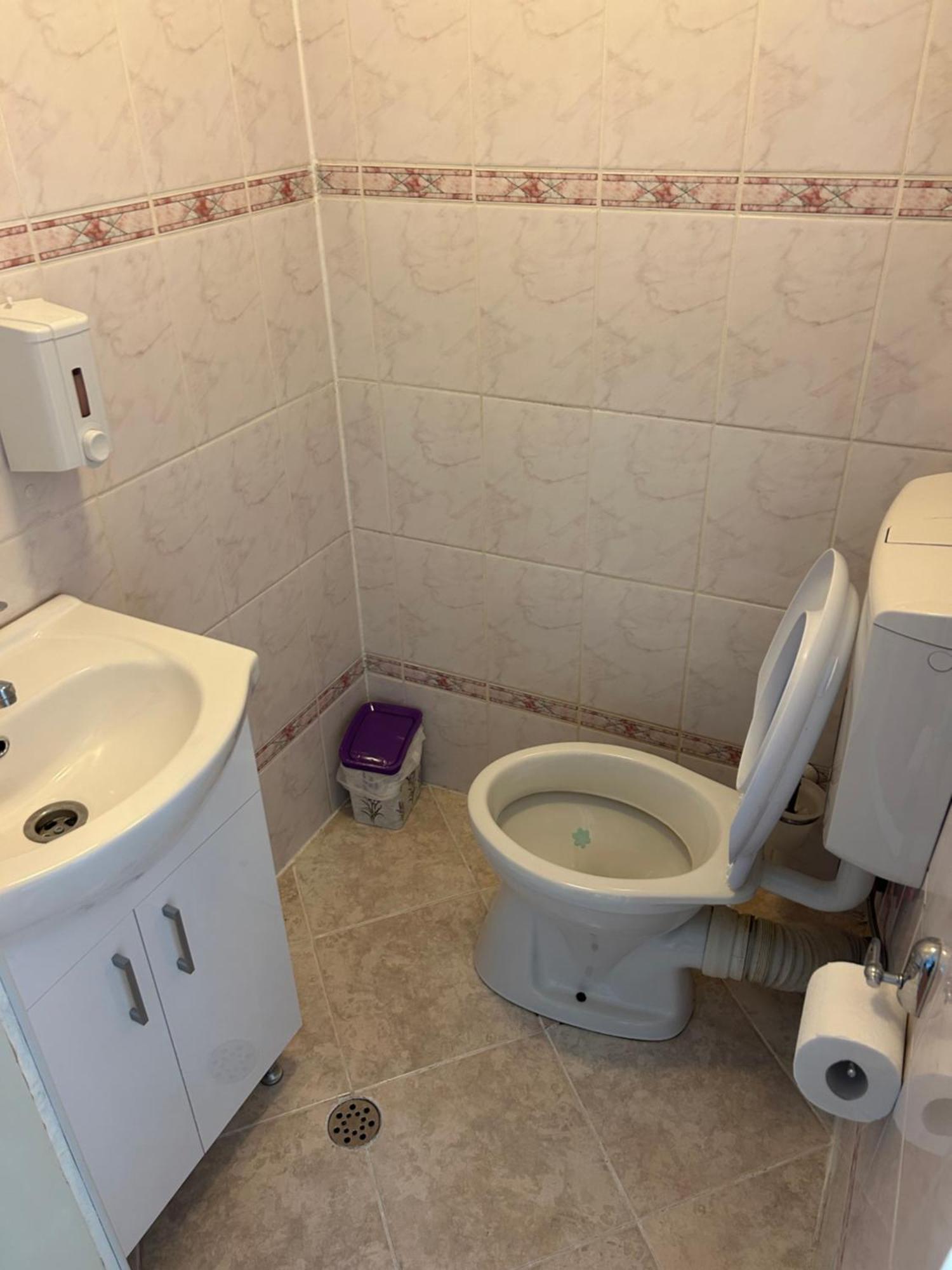Apartamento Bivolul Negru Blaj Exterior foto