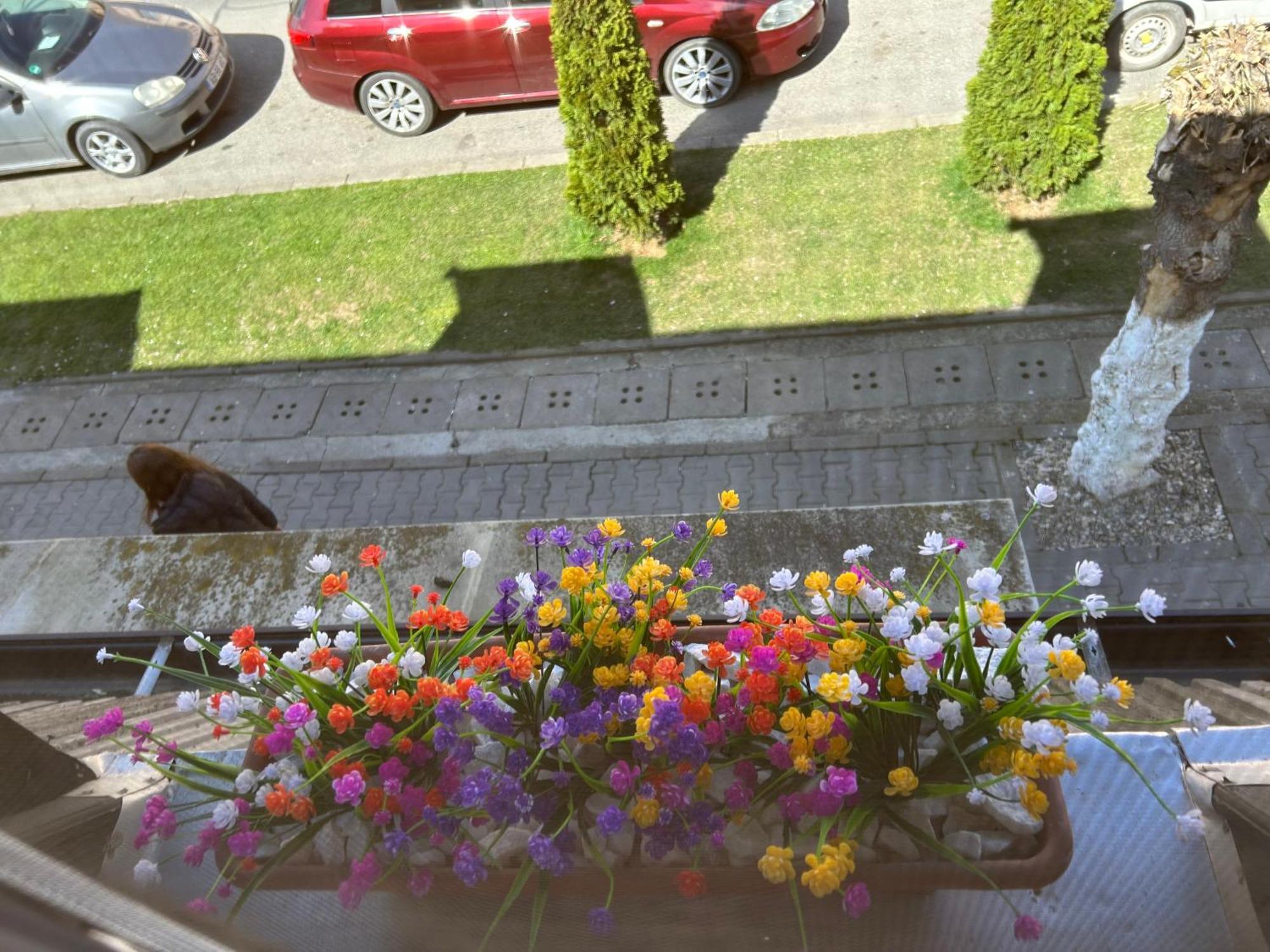 Apartamento Bivolul Negru Blaj Exterior foto